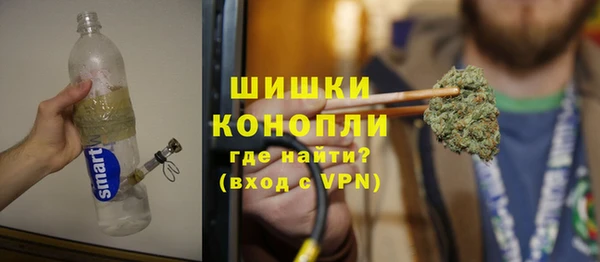 прущие грибы Абдулино