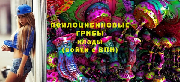 прущие грибы Абдулино