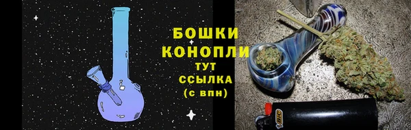прущие грибы Абдулино