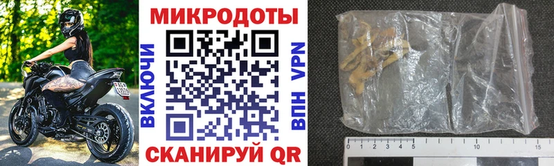 Галлюциногенные грибы Psilocybine cubensis  Барыш 